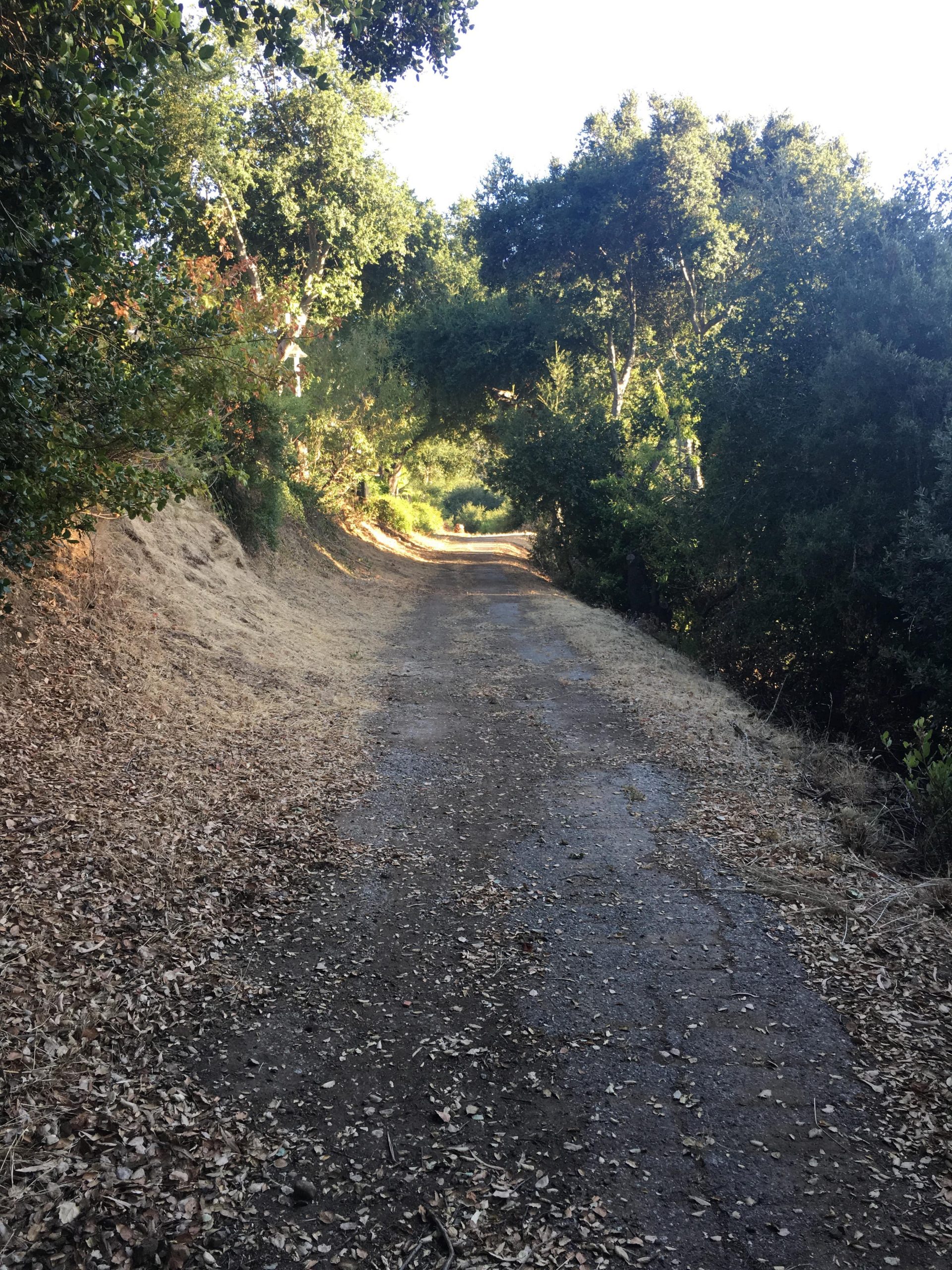 Houses to the left and drop down to the golf course on the right-min