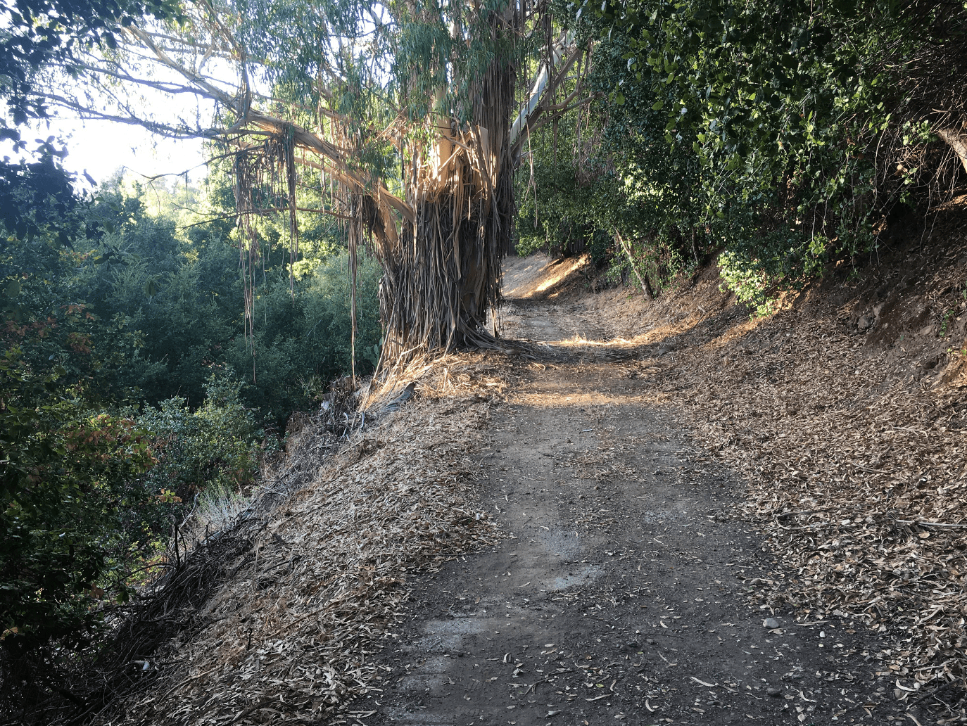 Walking the Trail 01