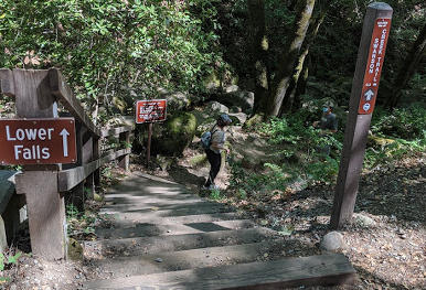 Uvas_swansoncreek_entry
